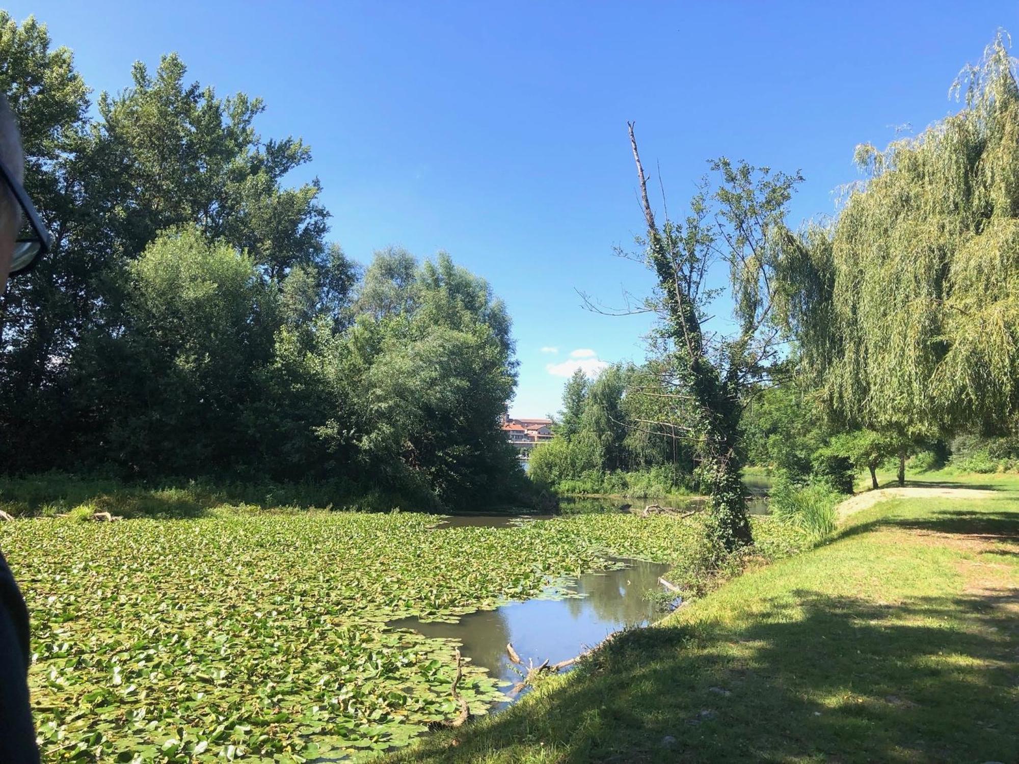 Beautiful Village House Next To Garonne River! Couladere Bagian luar foto
