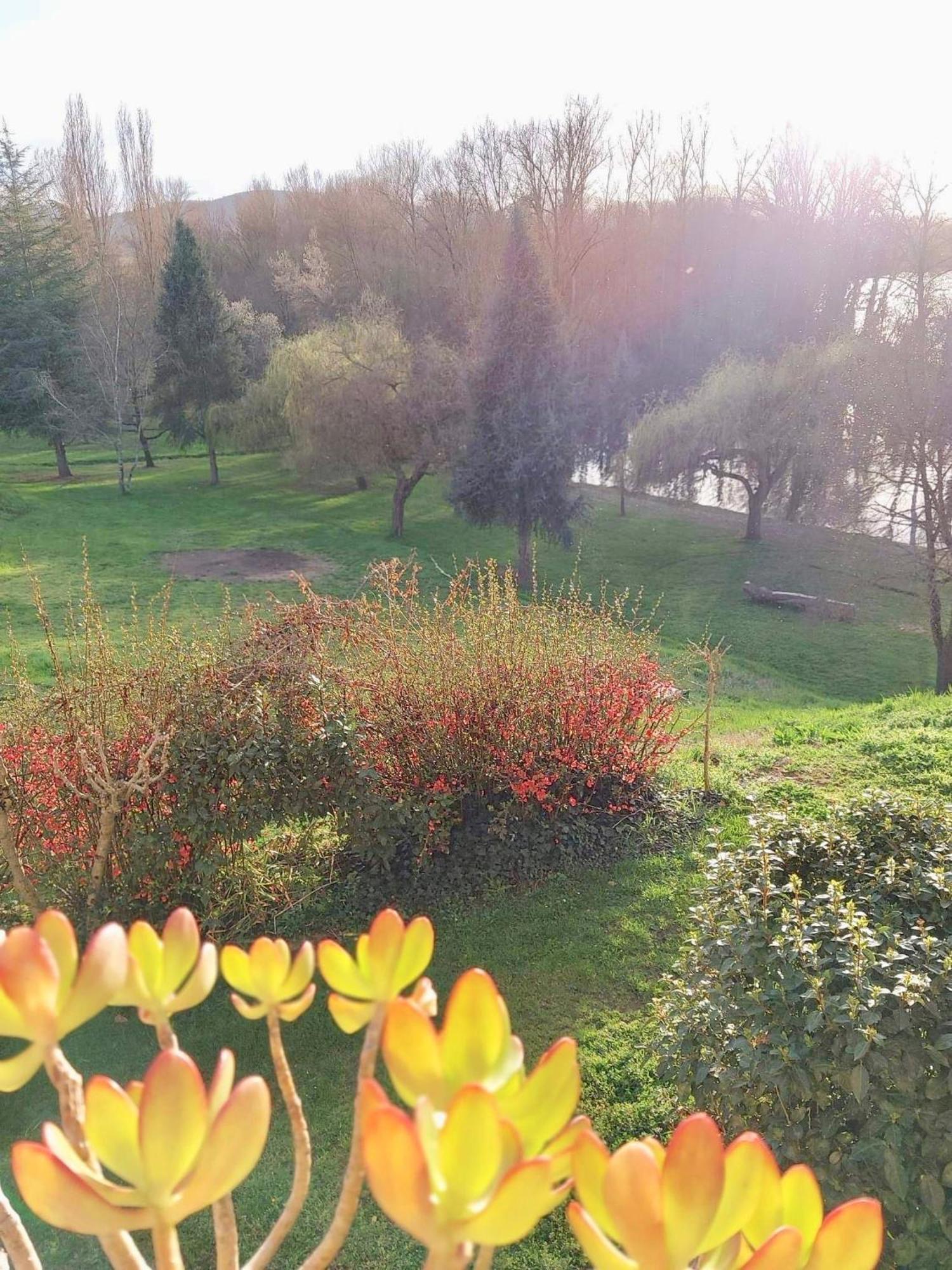 Beautiful Village House Next To Garonne River! Couladere Bagian luar foto